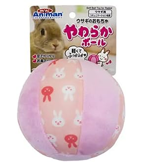 Amazon | マルカン クリアケージM 交換用すのこ 1枚 PMR-306-1